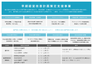 最も分かり易く解説!早期経営改善計画